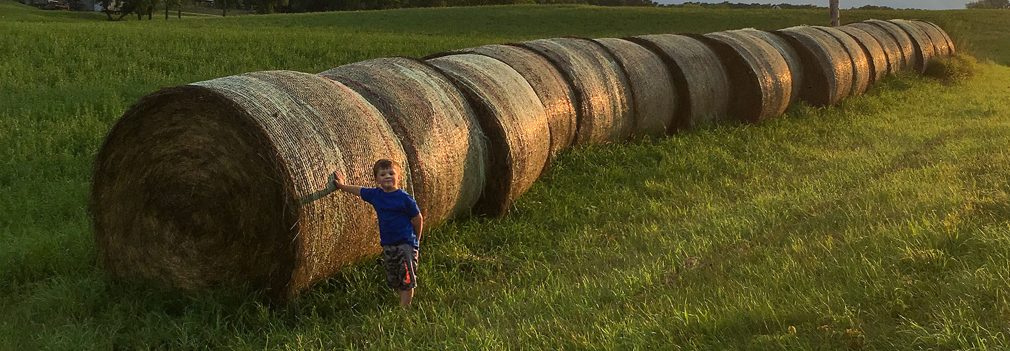 kid standing by hay bales